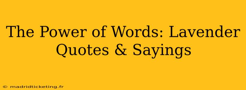 The Power of Words: Lavender Quotes & Sayings