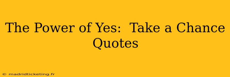 The Power of Yes:  Take a Chance Quotes