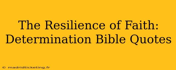 The Resilience of Faith: Determination Bible Quotes