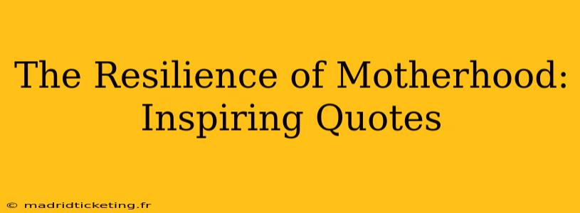 The Resilience of Motherhood: Inspiring Quotes