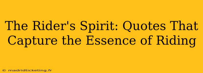 The Rider's Spirit: Quotes That Capture the Essence of Riding