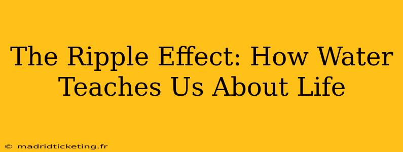 The Ripple Effect: How Water Teaches Us About Life