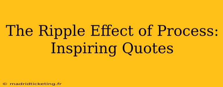 The Ripple Effect of Process: Inspiring Quotes