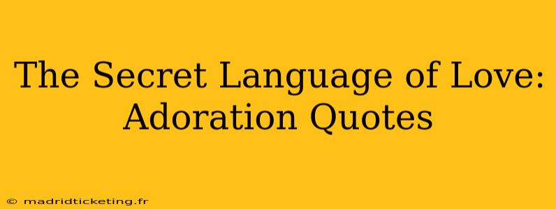 The Secret Language of Love: Adoration Quotes