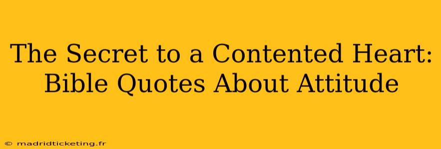 The Secret to a Contented Heart: Bible Quotes About Attitude