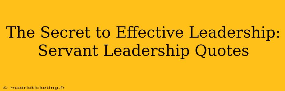 The Secret to Effective Leadership: Servant Leadership Quotes