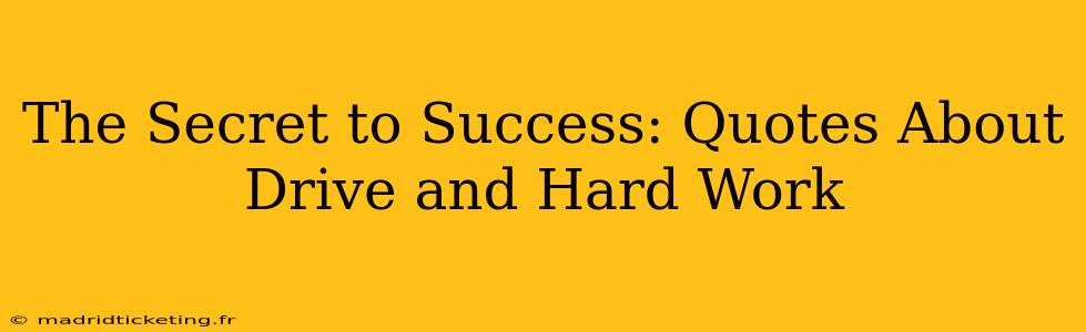 The Secret to Success: Quotes About Drive and Hard Work