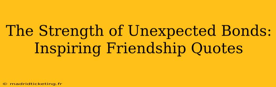 The Strength of Unexpected Bonds: Inspiring Friendship Quotes