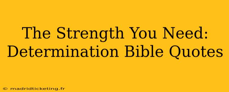 The Strength You Need: Determination Bible Quotes
