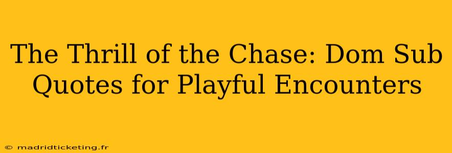 The Thrill of the Chase: Dom Sub Quotes for Playful Encounters