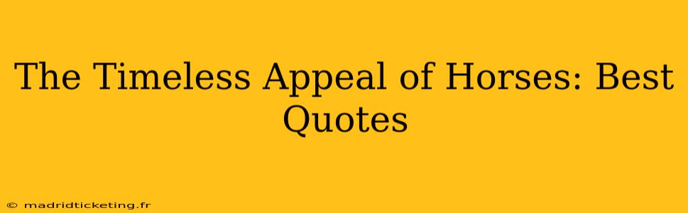 The Timeless Appeal of Horses: Best Quotes