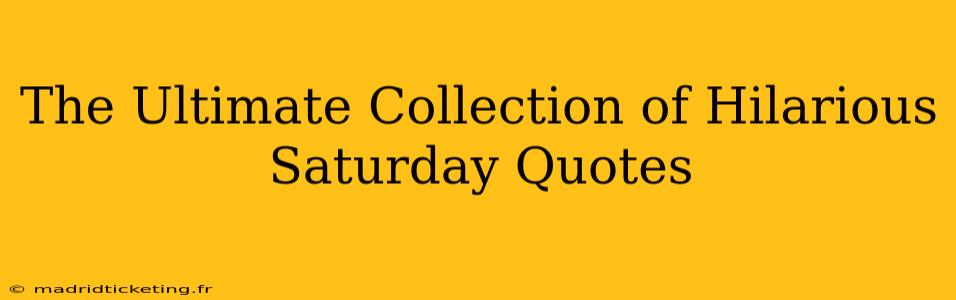 The Ultimate Collection of Hilarious Saturday Quotes