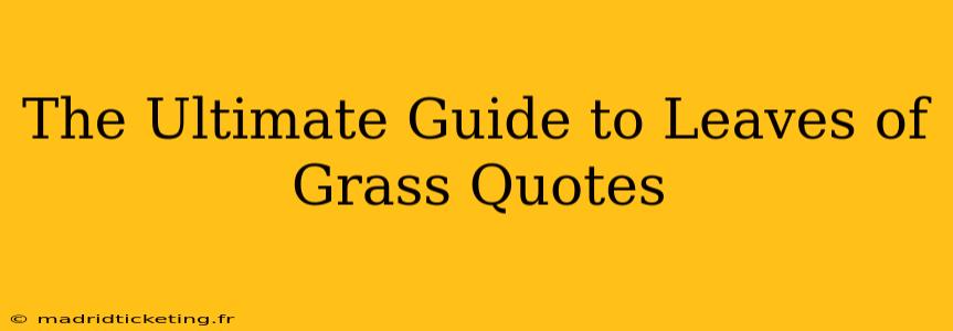 The Ultimate Guide to Leaves of Grass Quotes
