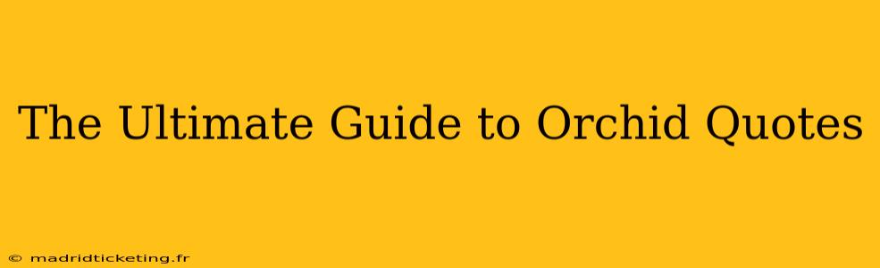 The Ultimate Guide to Orchid Quotes