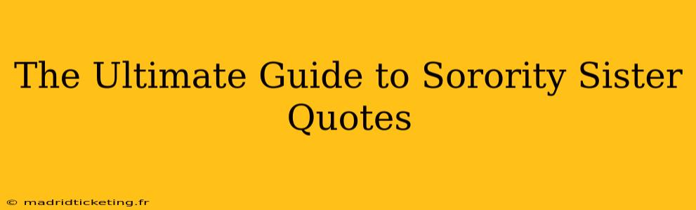 The Ultimate Guide to Sorority Sister Quotes