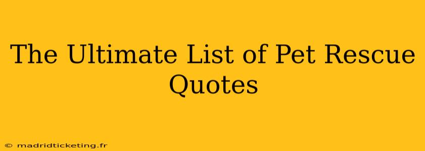 The Ultimate List of Pet Rescue Quotes