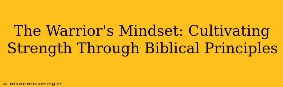 The Warrior's Mindset: Cultivating Strength Through Biblical Principles