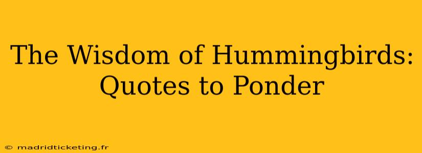 The Wisdom of Hummingbirds: Quotes to Ponder