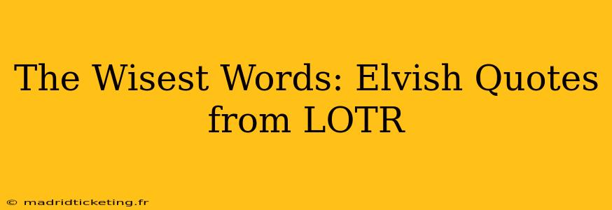The Wisest Words: Elvish Quotes from LOTR