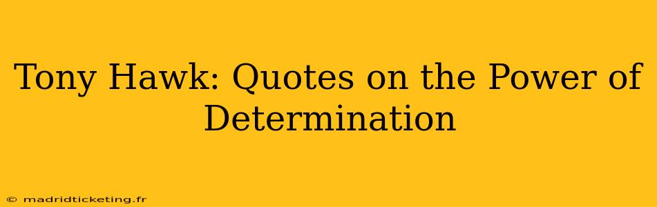 Tony Hawk: Quotes on the Power of Determination
