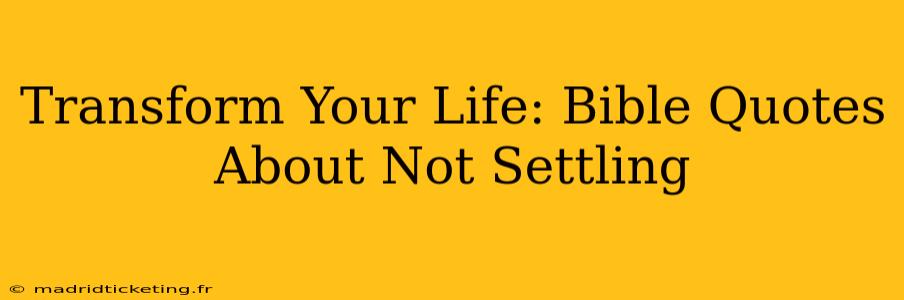 Transform Your Life: Bible Quotes About Not Settling
