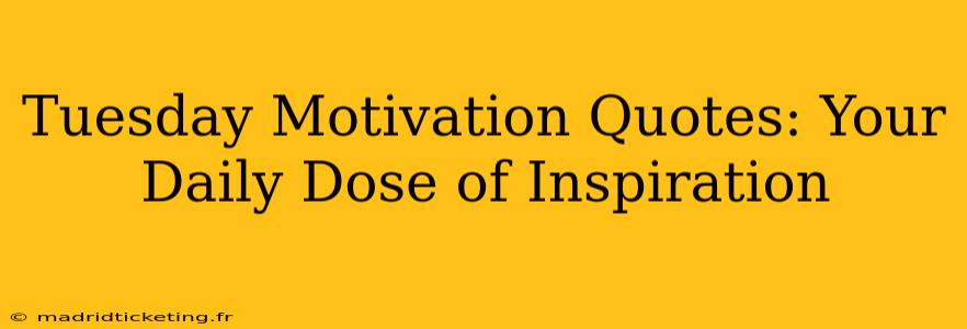 Tuesday Motivation Quotes: Your Daily Dose of Inspiration