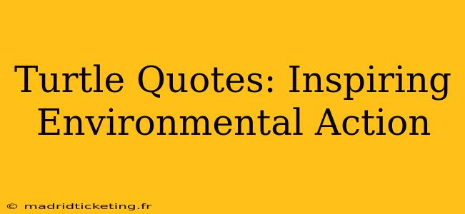 Turtle Quotes: Inspiring Environmental Action