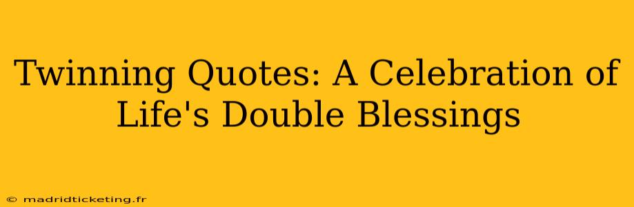 Twinning Quotes: A Celebration of Life's Double Blessings
