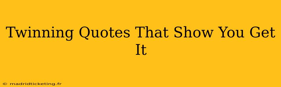 Twinning Quotes That Show You Get It