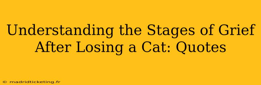 Understanding the Stages of Grief After Losing a Cat: Quotes