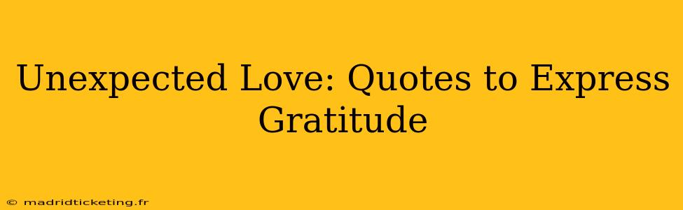 Unexpected Love: Quotes to Express Gratitude