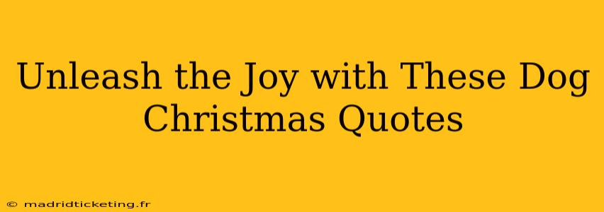 Unleash the Joy with These Dog Christmas Quotes