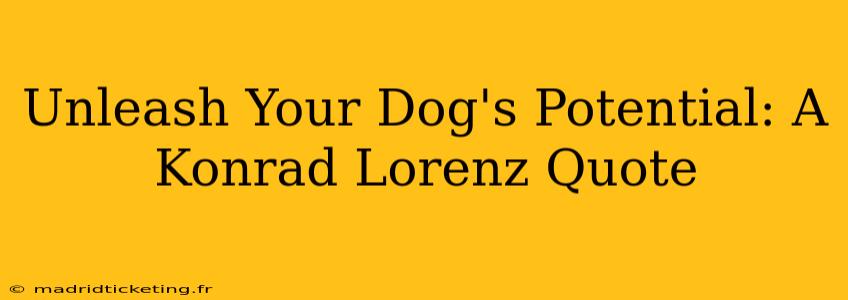 Unleash Your Dog's Potential: A Konrad Lorenz Quote