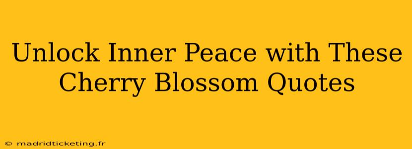 Unlock Inner Peace with These Cherry Blossom Quotes