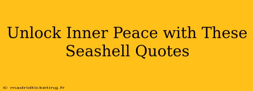 Unlock Inner Peace with These Seashell Quotes