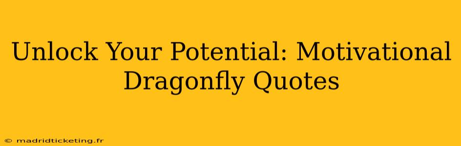 Unlock Your Potential: Motivational Dragonfly Quotes