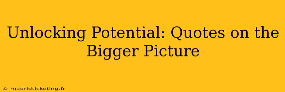 Unlocking Potential: Quotes on the Bigger Picture
