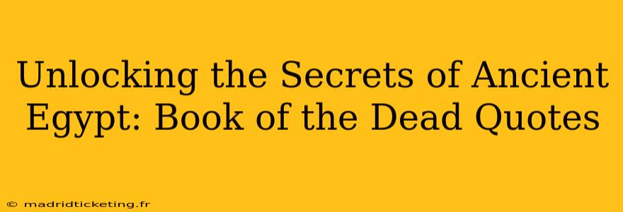 Unlocking the Secrets of Ancient Egypt: Book of the Dead Quotes