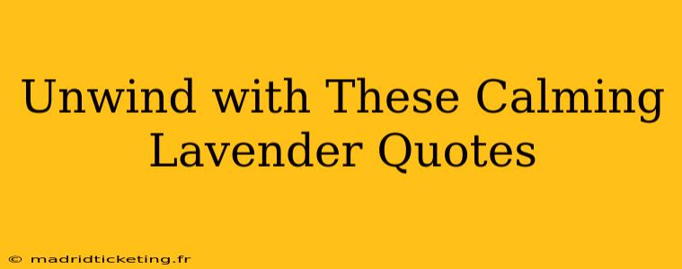 Unwind with These Calming Lavender Quotes