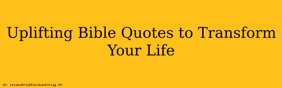 Uplifting Bible Quotes to Transform Your Life
