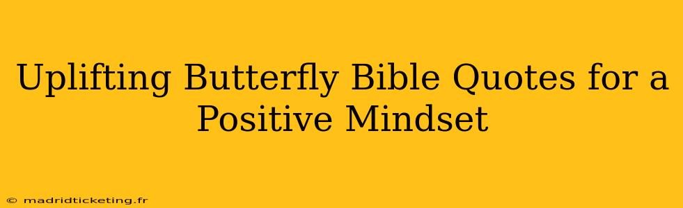Uplifting Butterfly Bible Quotes for a Positive Mindset