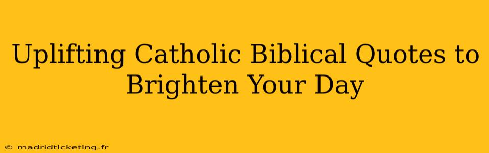 Uplifting Catholic Biblical Quotes to Brighten Your Day