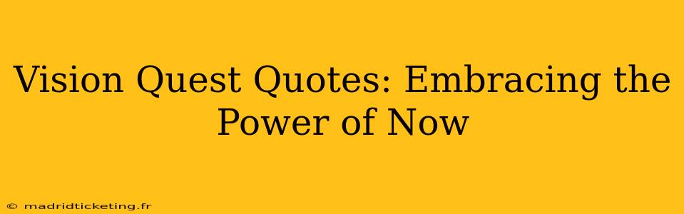 Vision Quest Quotes: Embracing the Power of Now