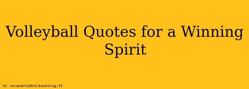 Volleyball Quotes for a Winning Spirit