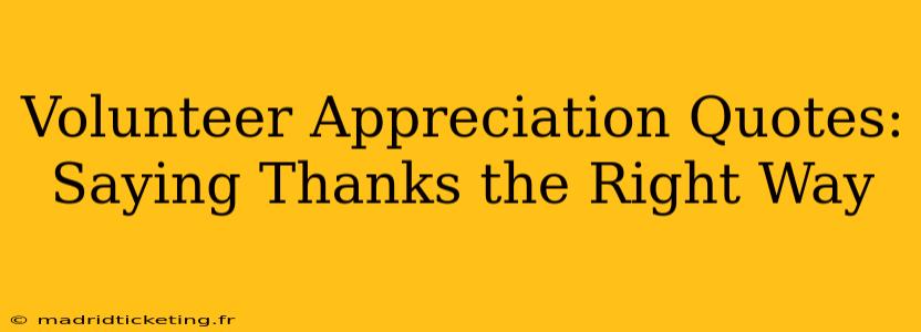 Volunteer Appreciation Quotes: Saying Thanks the Right Way