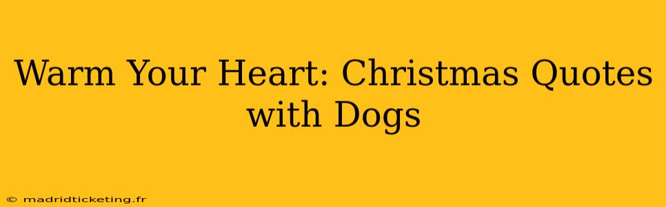 Warm Your Heart: Christmas Quotes with Dogs