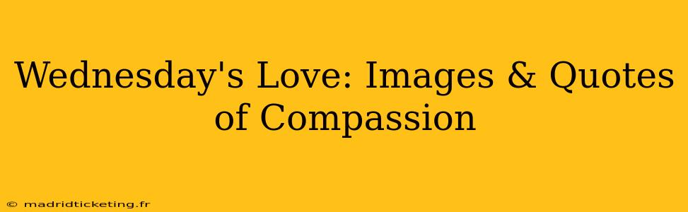 Wednesday's Love: Images & Quotes of Compassion