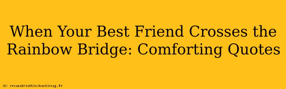 When Your Best Friend Crosses the Rainbow Bridge: Comforting Quotes