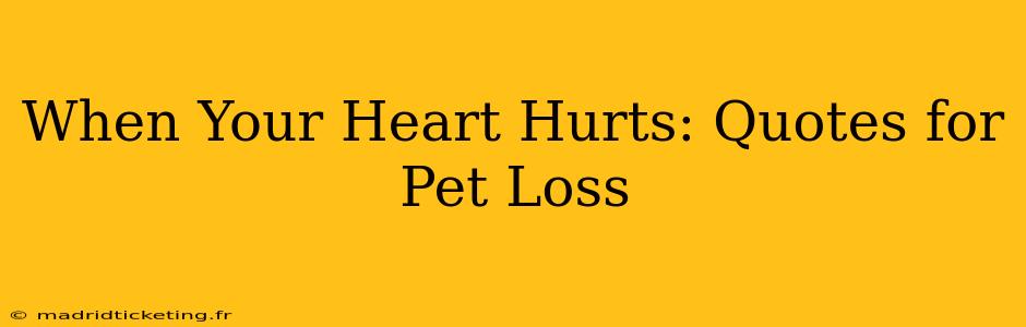 When Your Heart Hurts: Quotes for Pet Loss