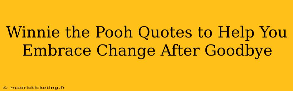 Winnie the Pooh Quotes to Help You Embrace Change After Goodbye